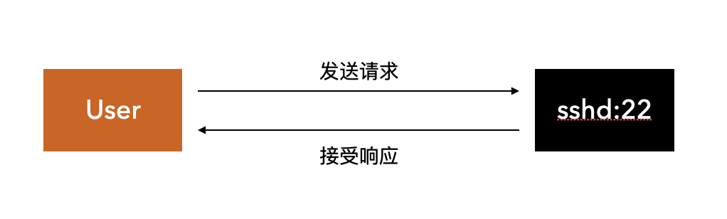 image-20210128083442895