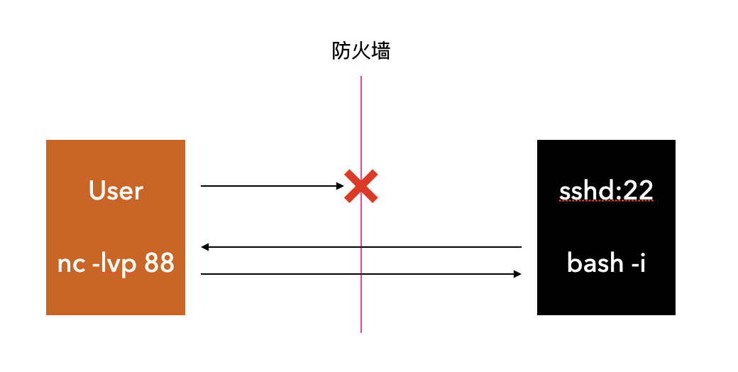 image-20210129080743429