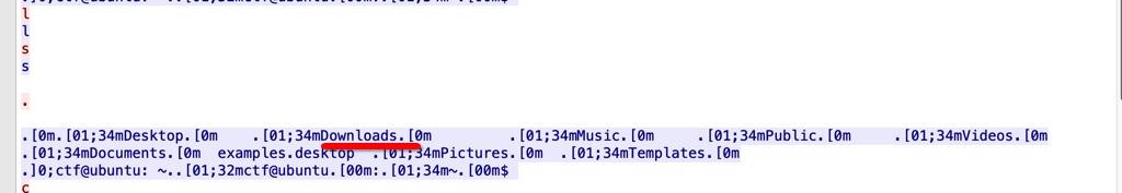 image-20250911184306124